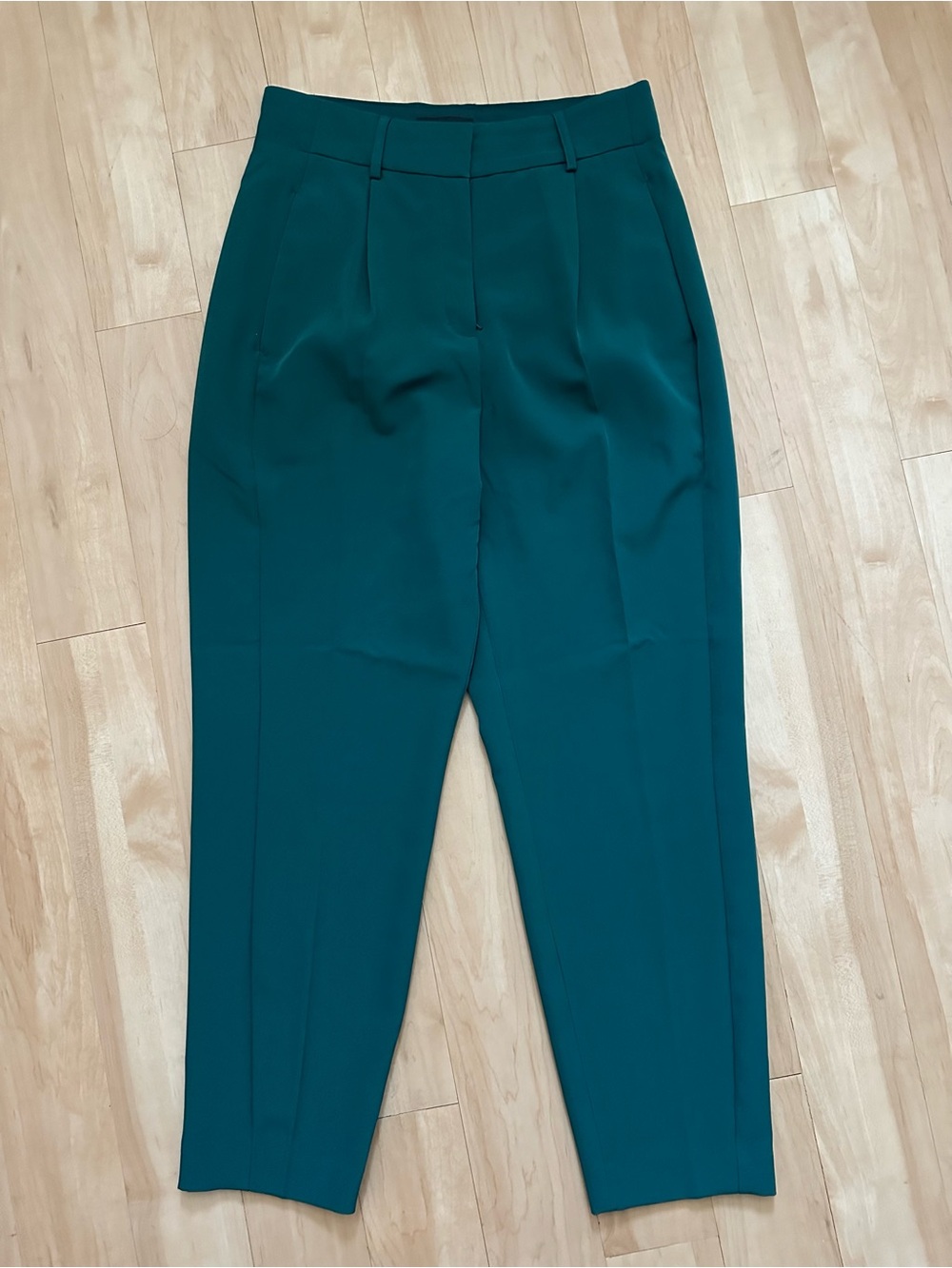 Express Dress Pants